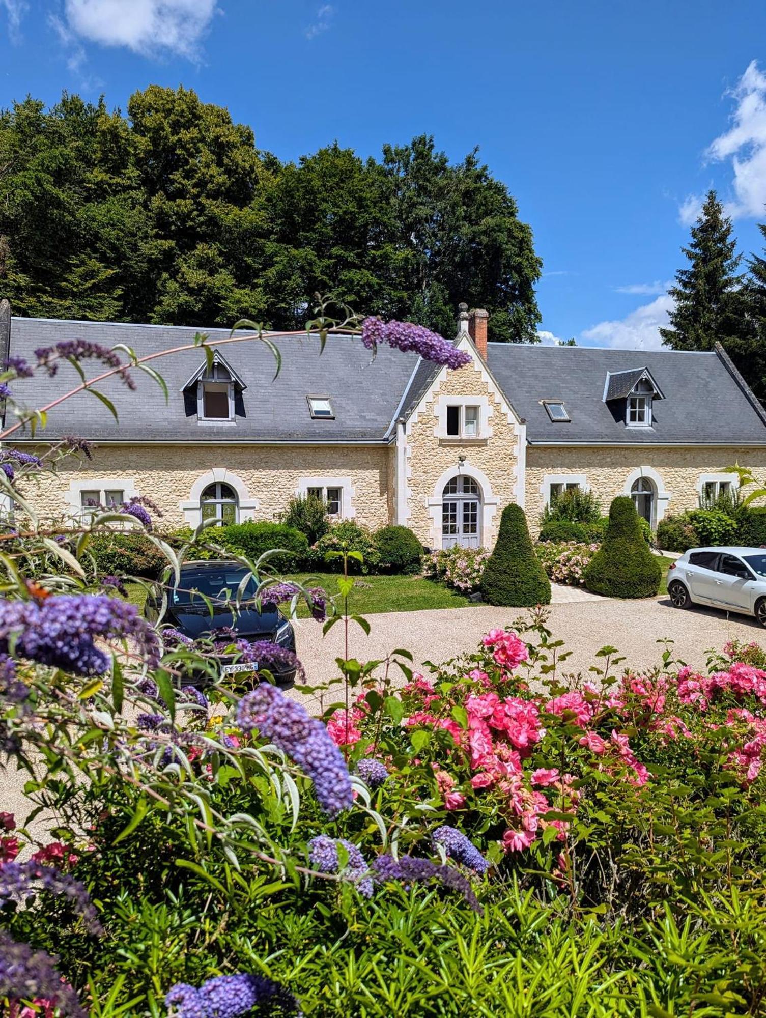Chateau De La Menaudiere Chissay-en-Touraine Bagian luar foto