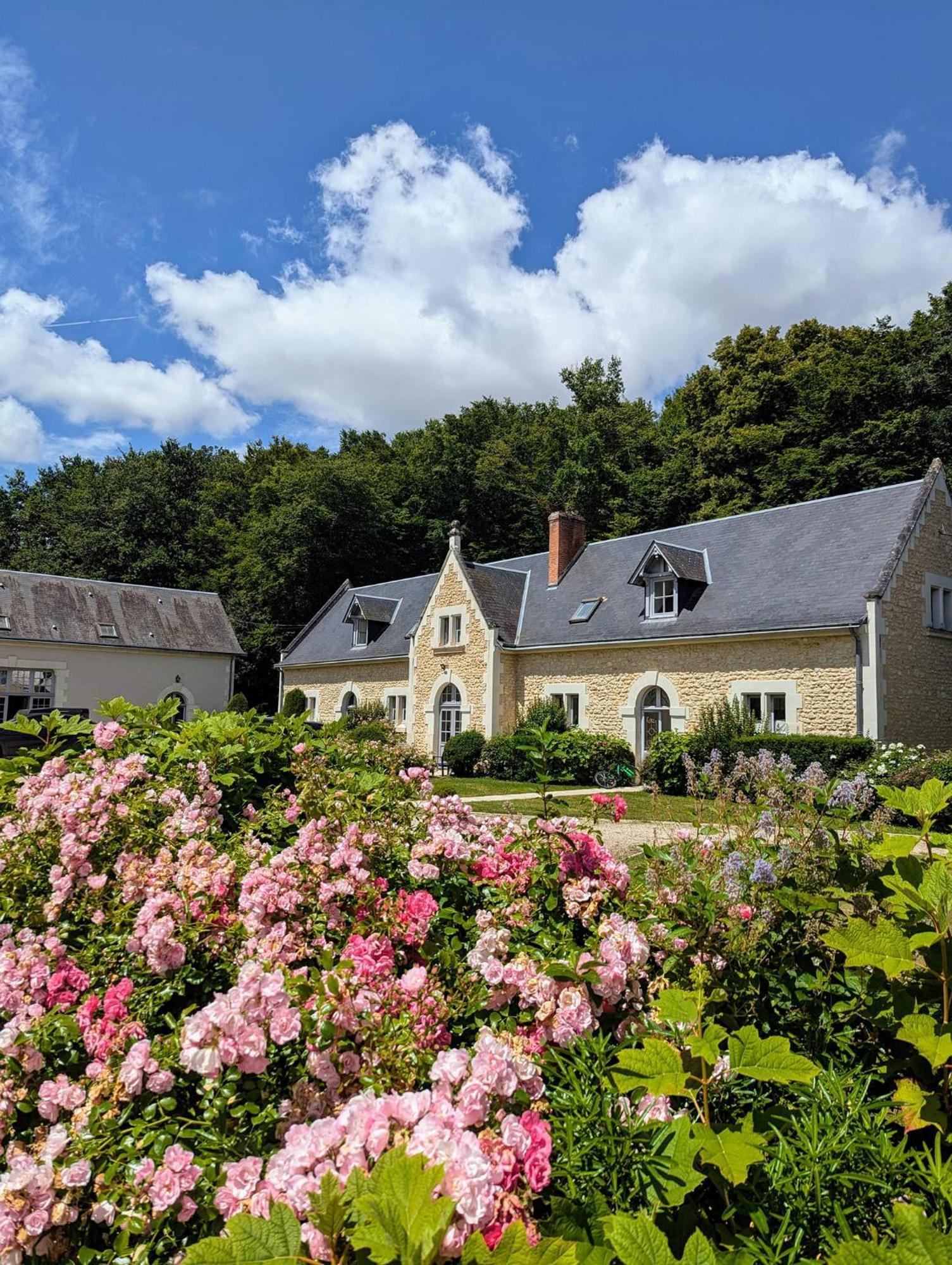 Chateau De La Menaudiere Chissay-en-Touraine Bagian luar foto